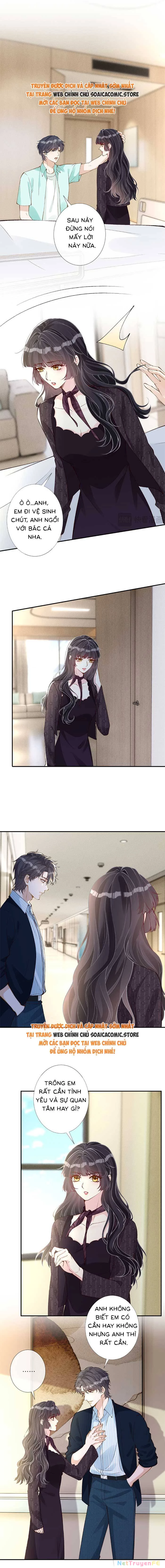 Ôm Khẩn Tiểu Mã Giáp Của Tôi Chapter 332 - Trang 2