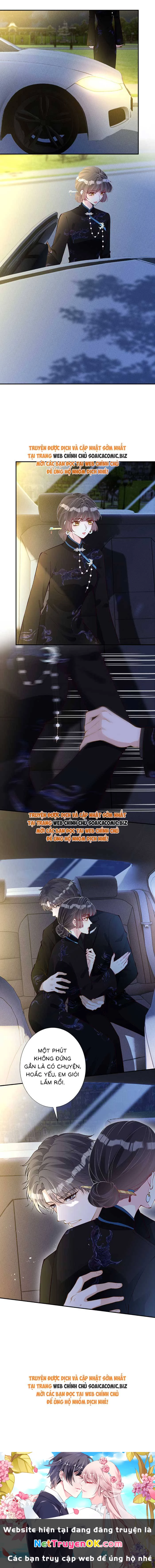 Ôm Khẩn Tiểu Mã Giáp Của Tôi Chapter 340 - Trang 2