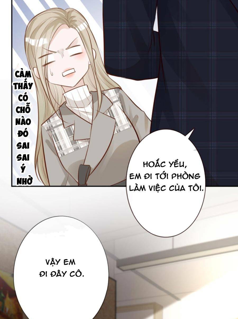 Ôm Khẩn Tiểu Mã Giáp Của Tôi Chapter 37 - Trang 2