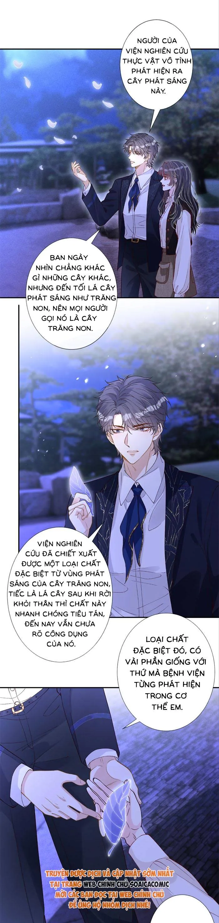 Ôm Khẩn Tiểu Mã Giáp Của Tôi Chapter 398 - Trang 2