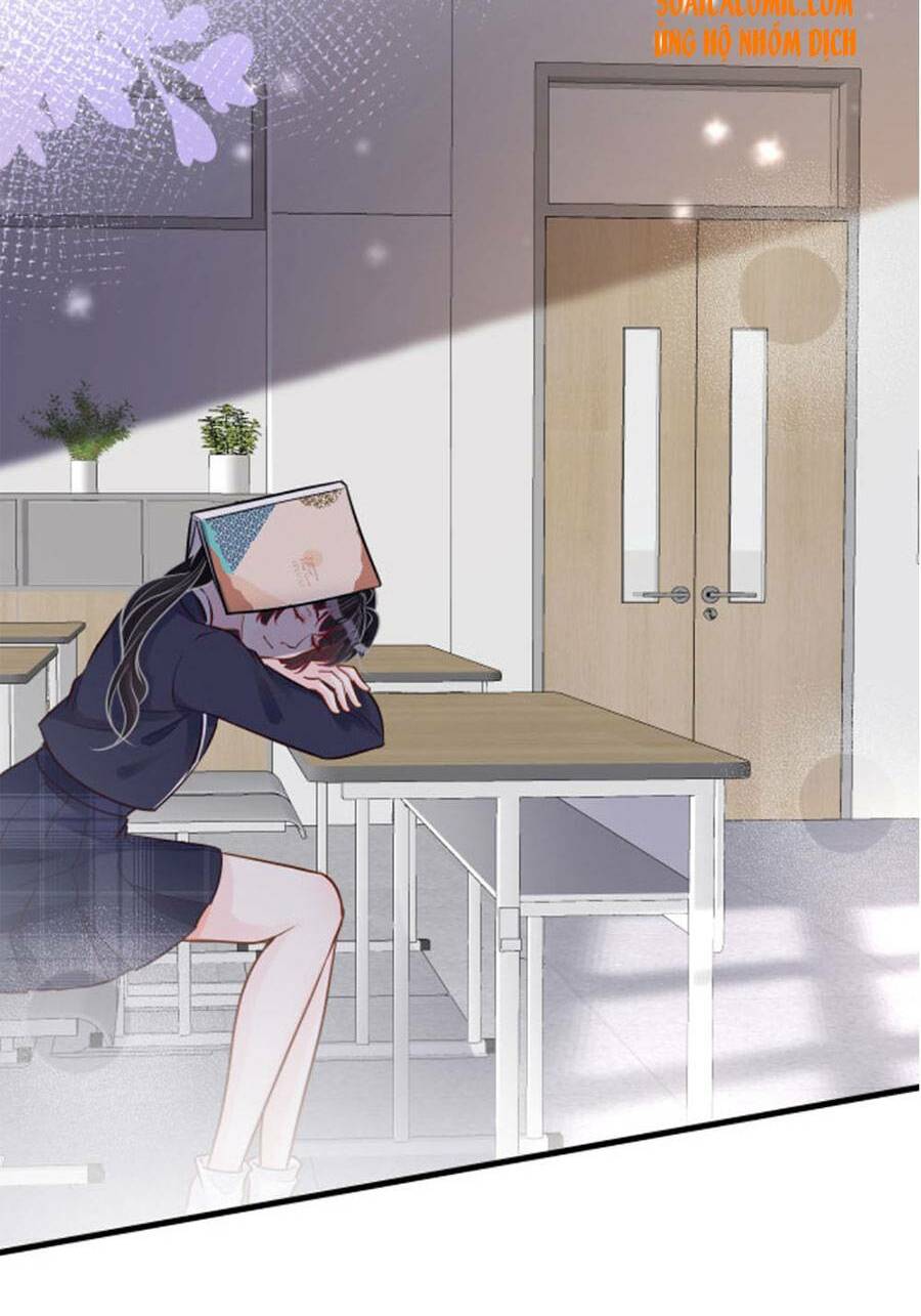 Ôm Khẩn Tiểu Mã Giáp Của Tôi Chapter 43 - Trang 2