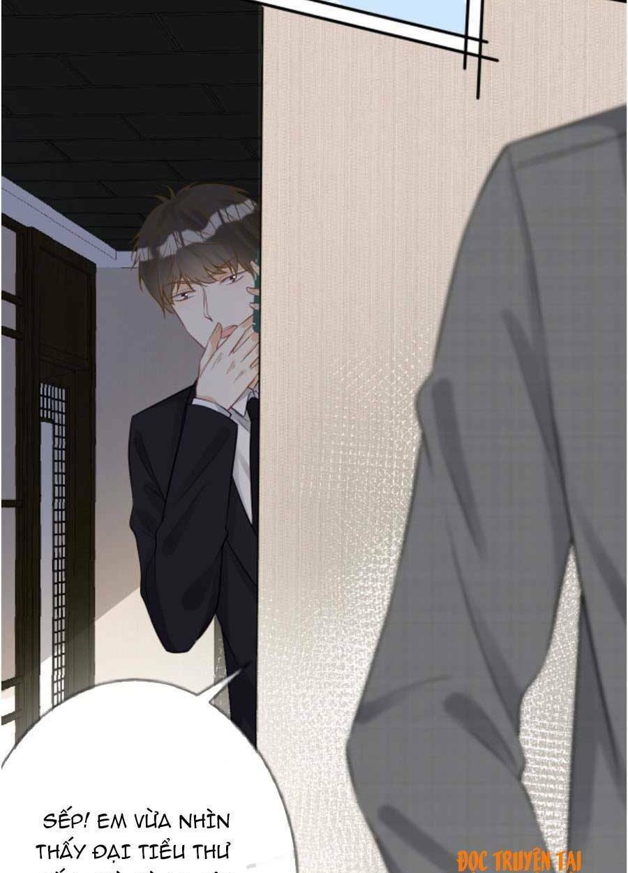 Ôm Khẩn Tiểu Mã Giáp Của Tôi Chapter 69 - Trang 2