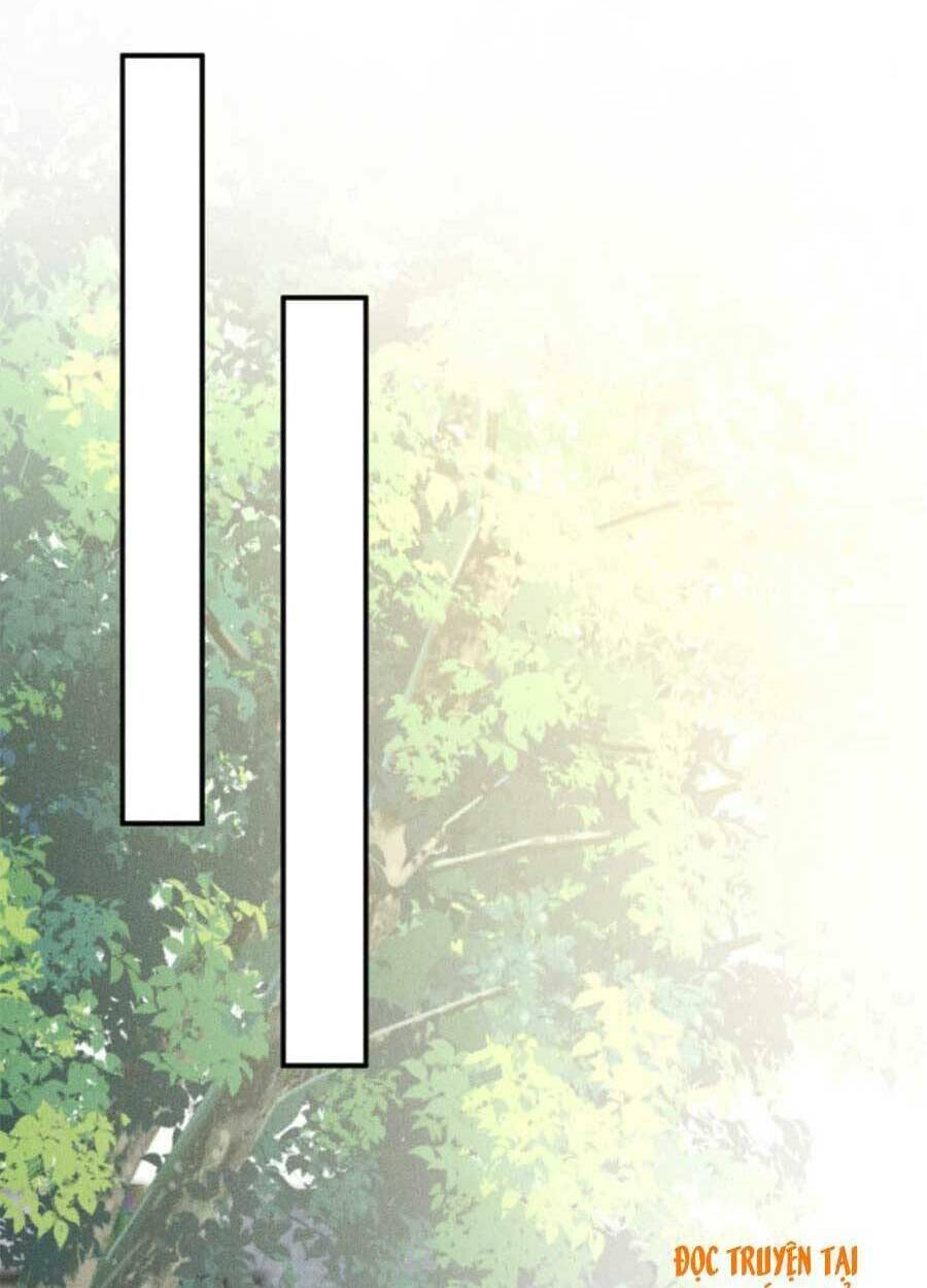 Ôm Khẩn Tiểu Mã Giáp Của Tôi Chapter 69 - Trang 2