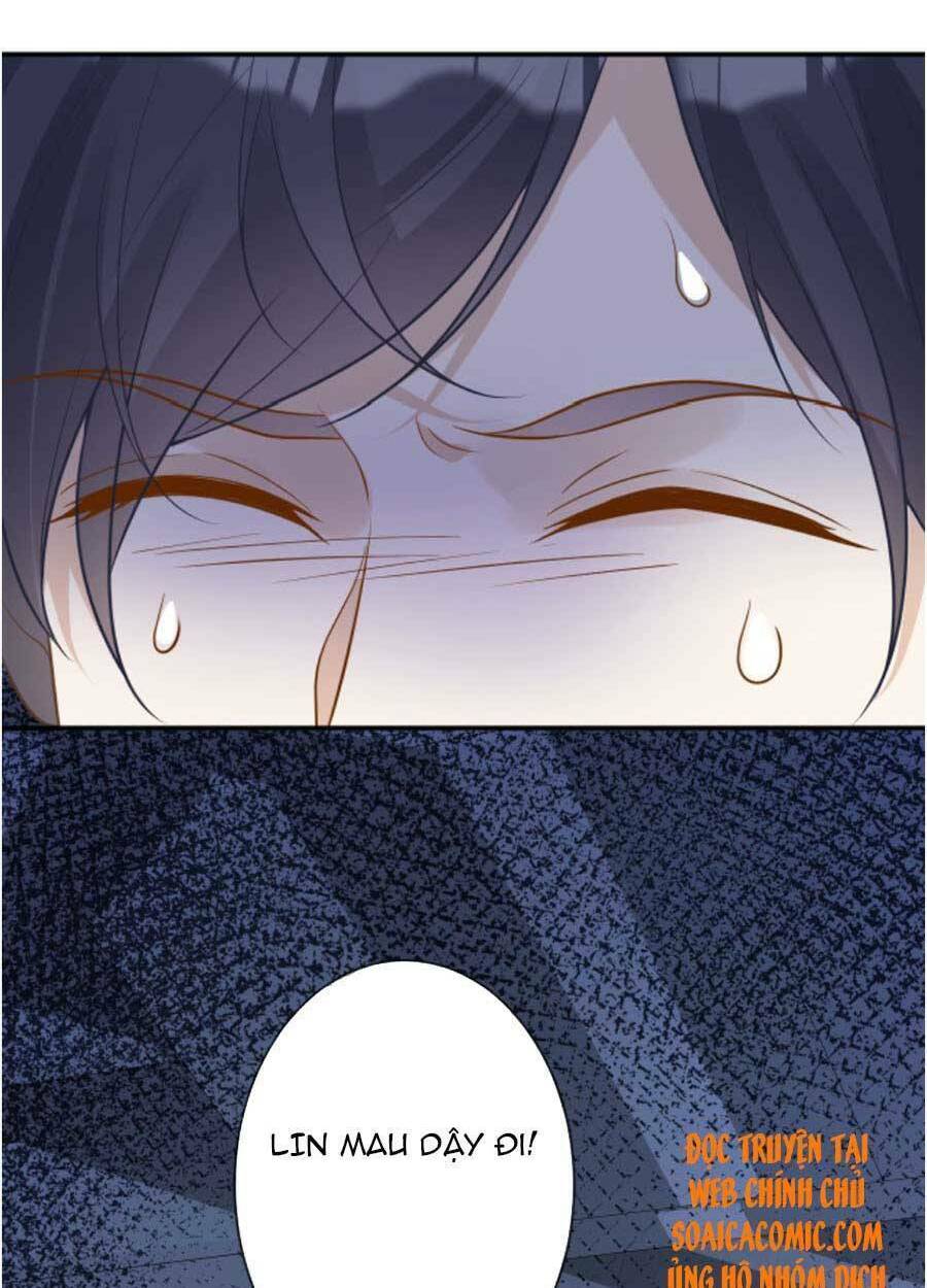 Ôm Khẩn Tiểu Mã Giáp Của Tôi Chapter 75 - Trang 2