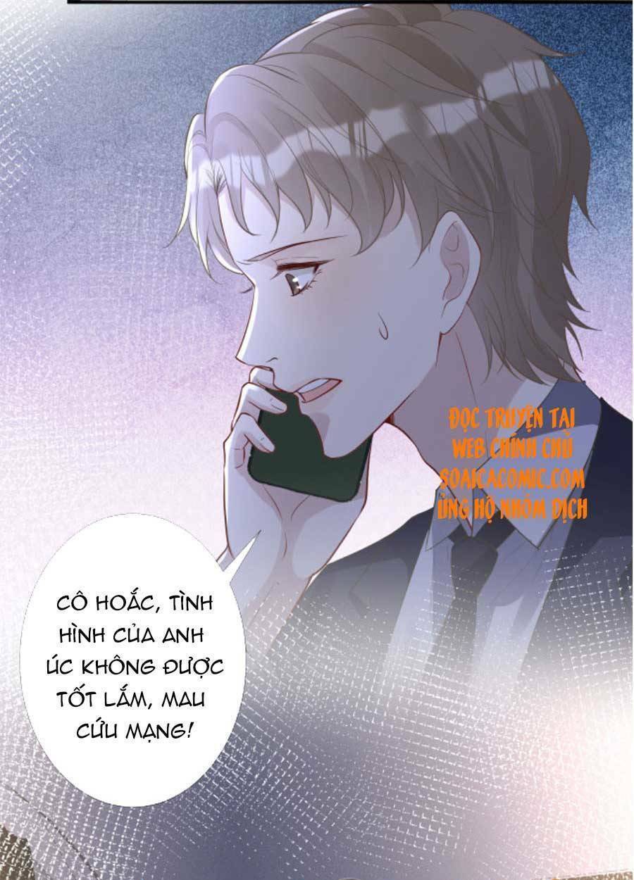Ôm Khẩn Tiểu Mã Giáp Của Tôi Chapter 89 - Trang 2