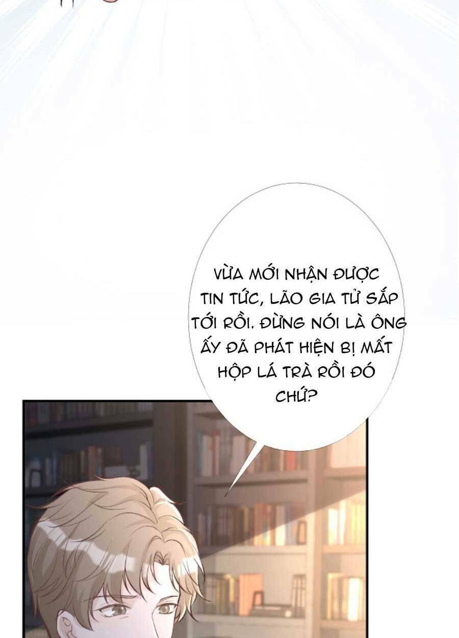 Ôm Khẩn Tiểu Mã Giáp Của Tôi Chapter 93 - Trang 2