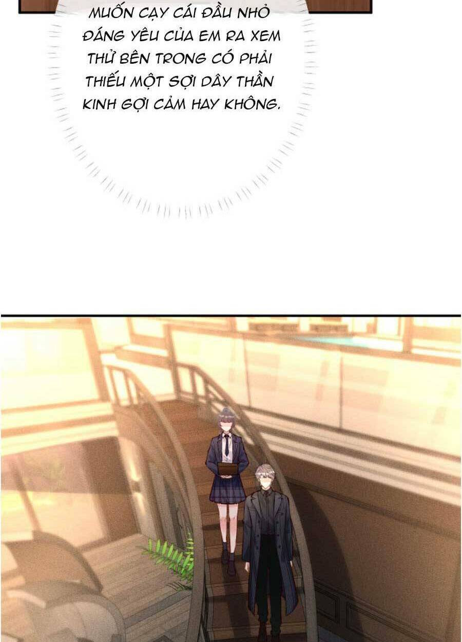 Ôm Khẩn Tiểu Mã Giáp Của Tôi Chapter 95 - Trang 2