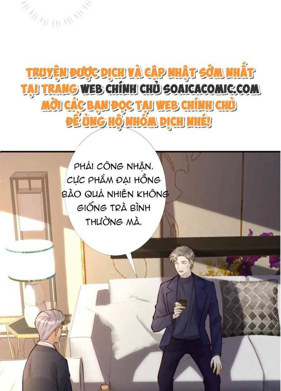 Ôm Khẩn Tiểu Mã Giáp Của Tôi Chapter 96 - Trang 2