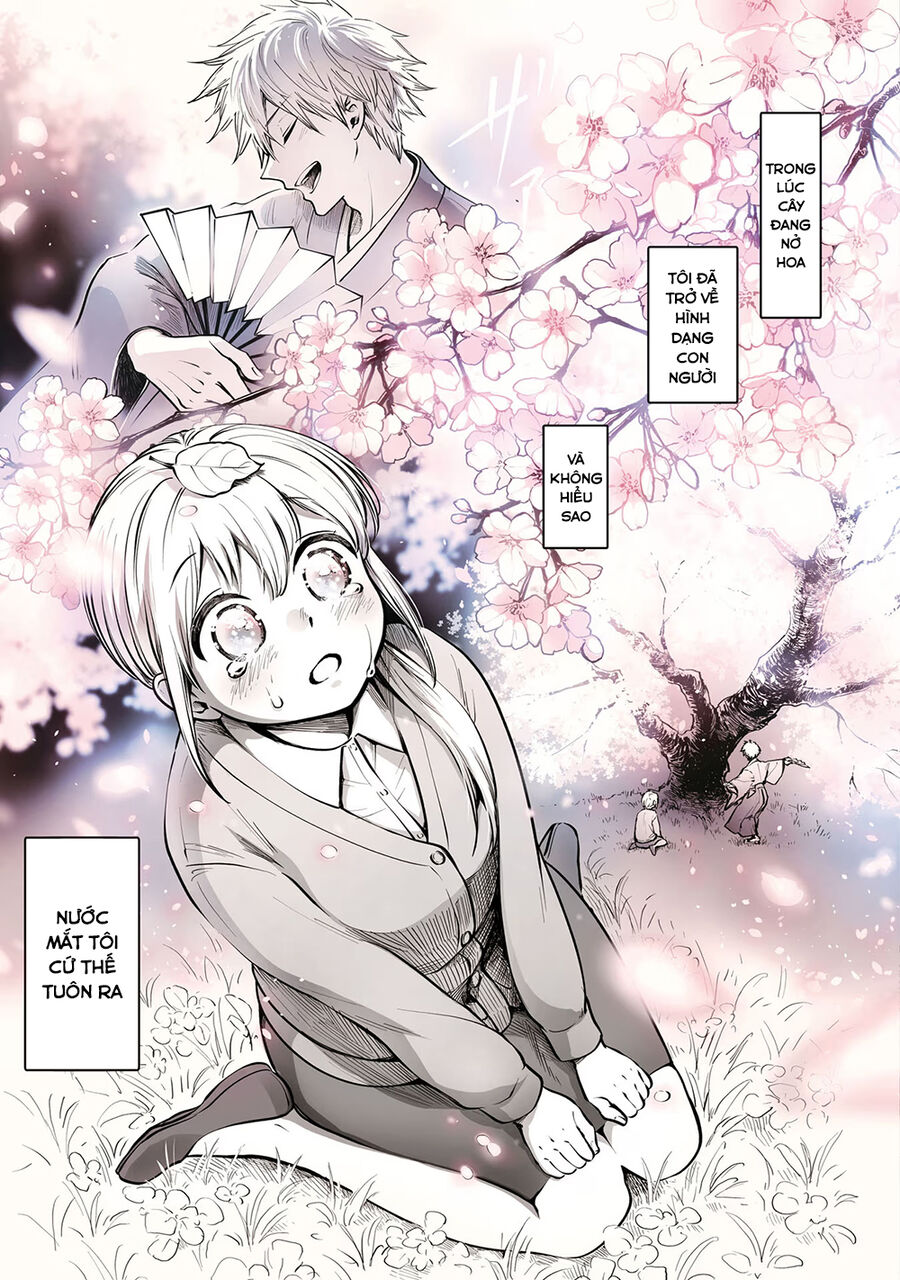 Omae, Tanuki Ni Naranee Ka? Chapter 18 - Trang 2