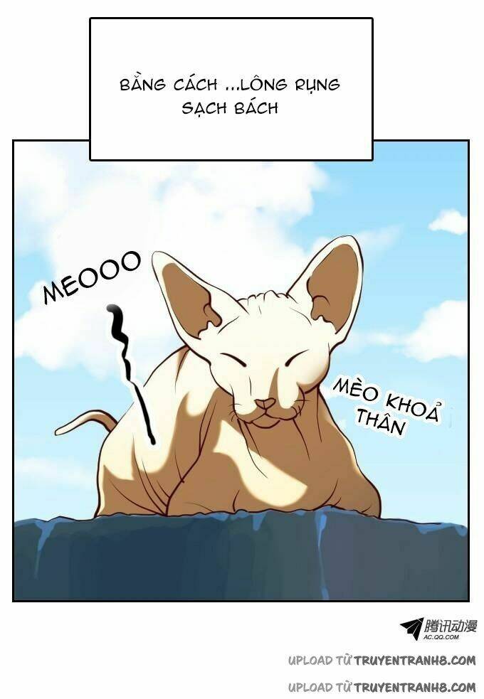 Ớn Lạnh Tuyệt Đối Chapter 21 - Trang 2