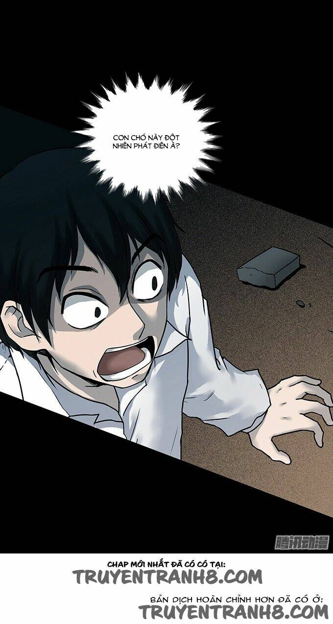 Ớn Lạnh Tuyệt Đối Chapter 96 - Trang 2