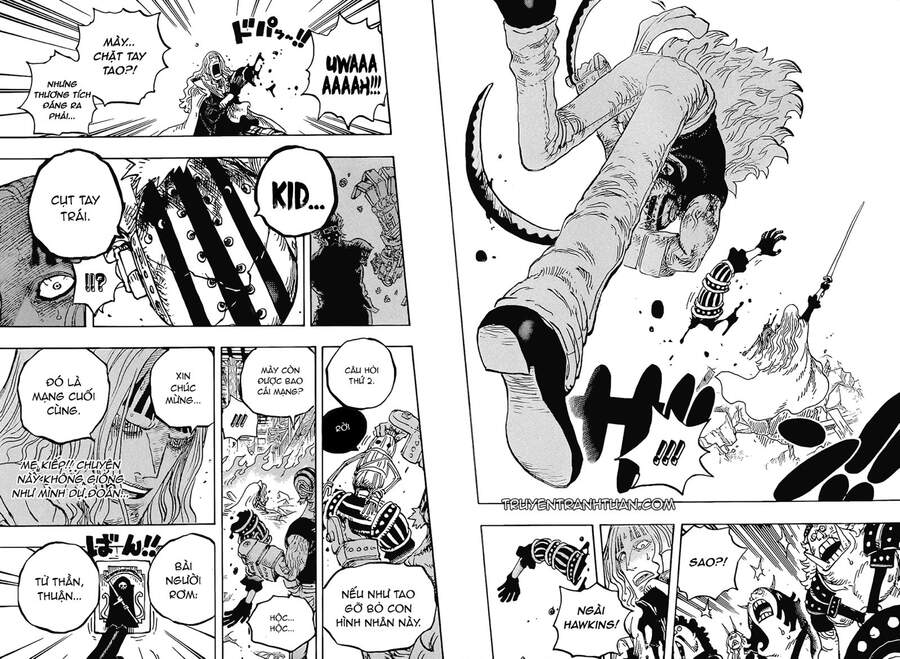One Piece Chapter 1029 - Trang 2