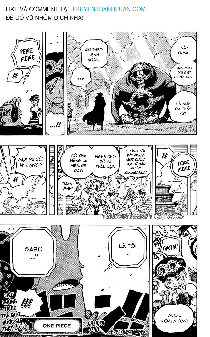 One Piece Chapter 1058 - Trang 2