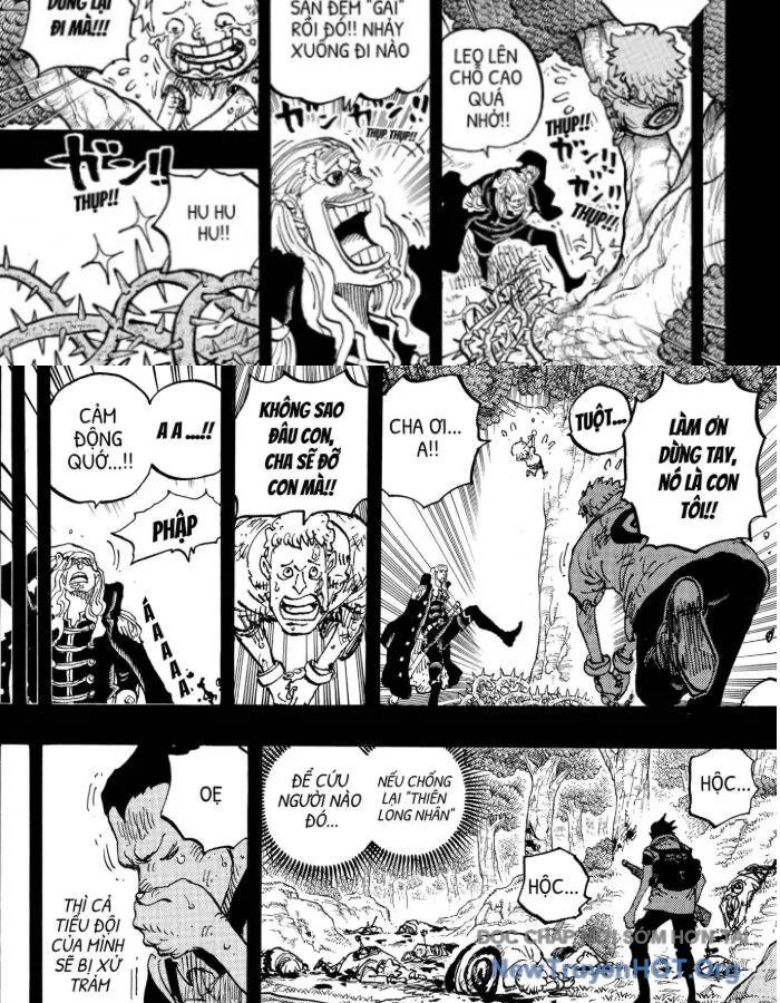 One Piece Chapter 1160.5 - Trang 2