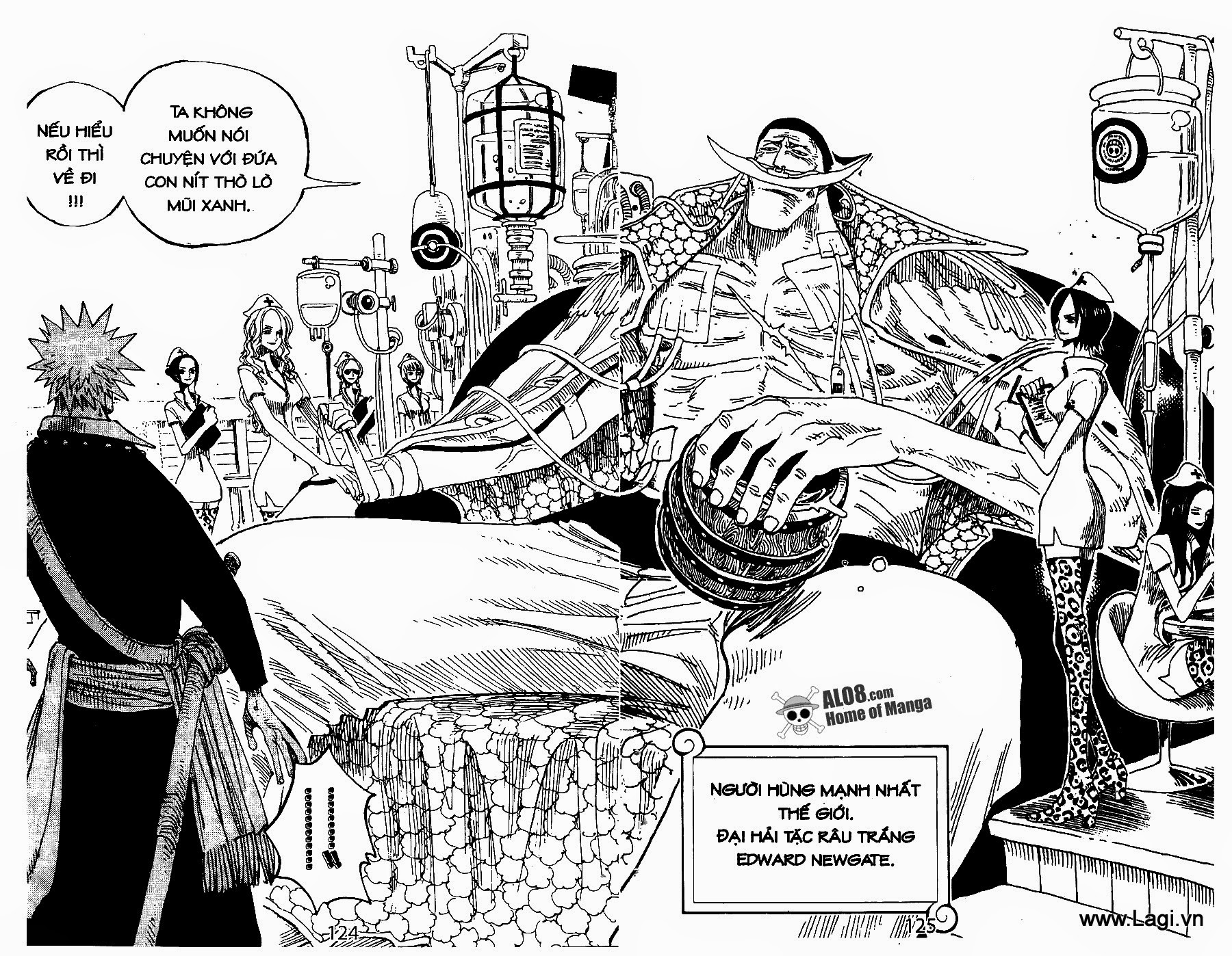 One Piece Chapter 234 - Trang 2