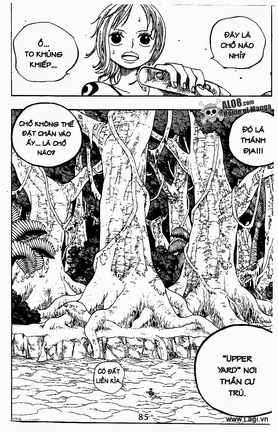 One Piece Chapter 240 - Trang 2