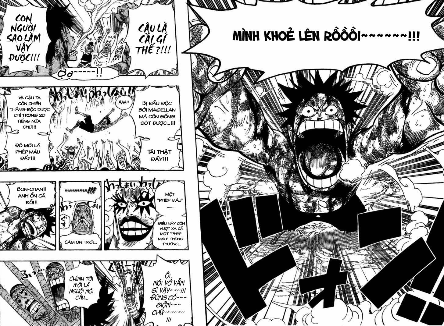 One Piece Chapter 539 - Trang 2