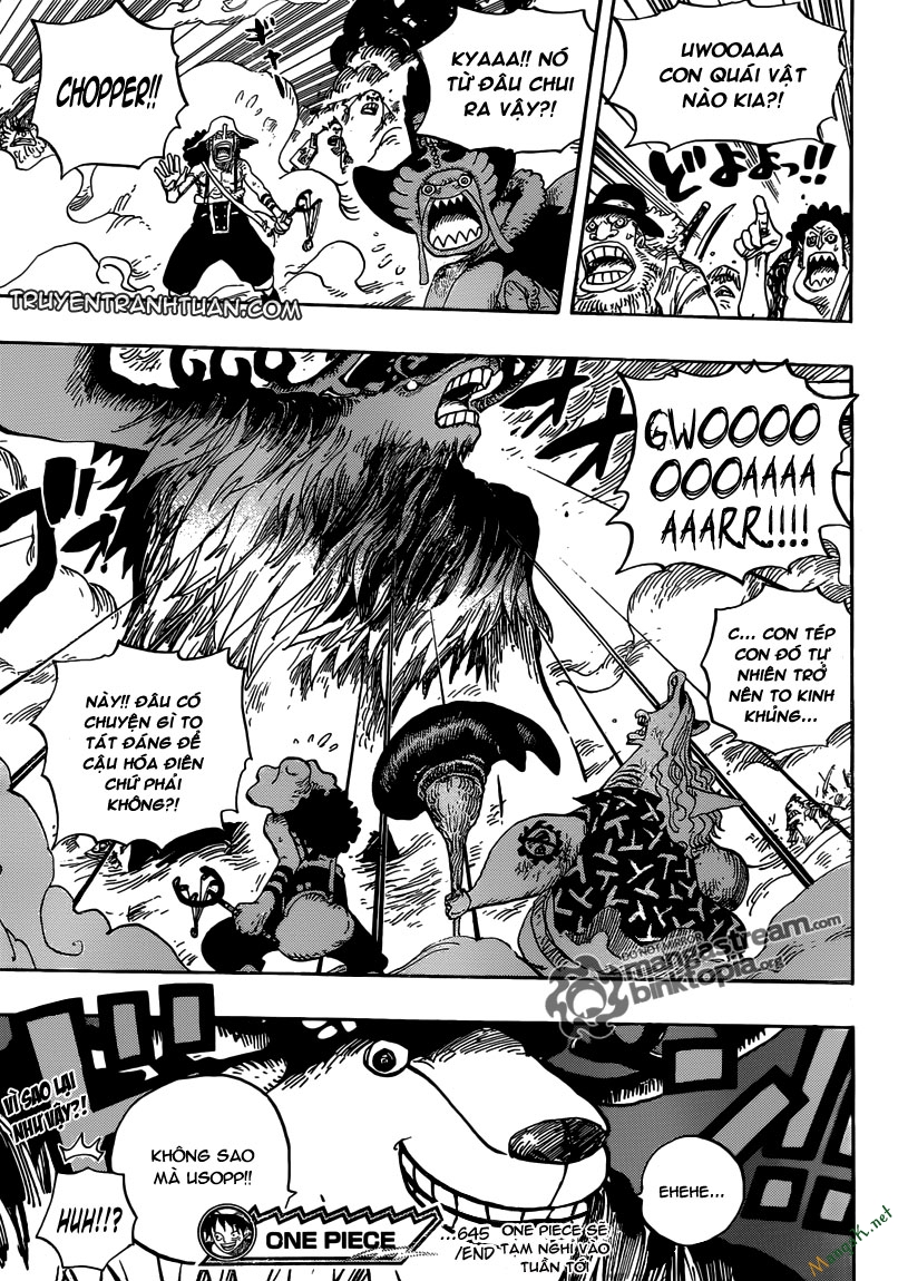 One Piece Chapter 645 - Trang 2