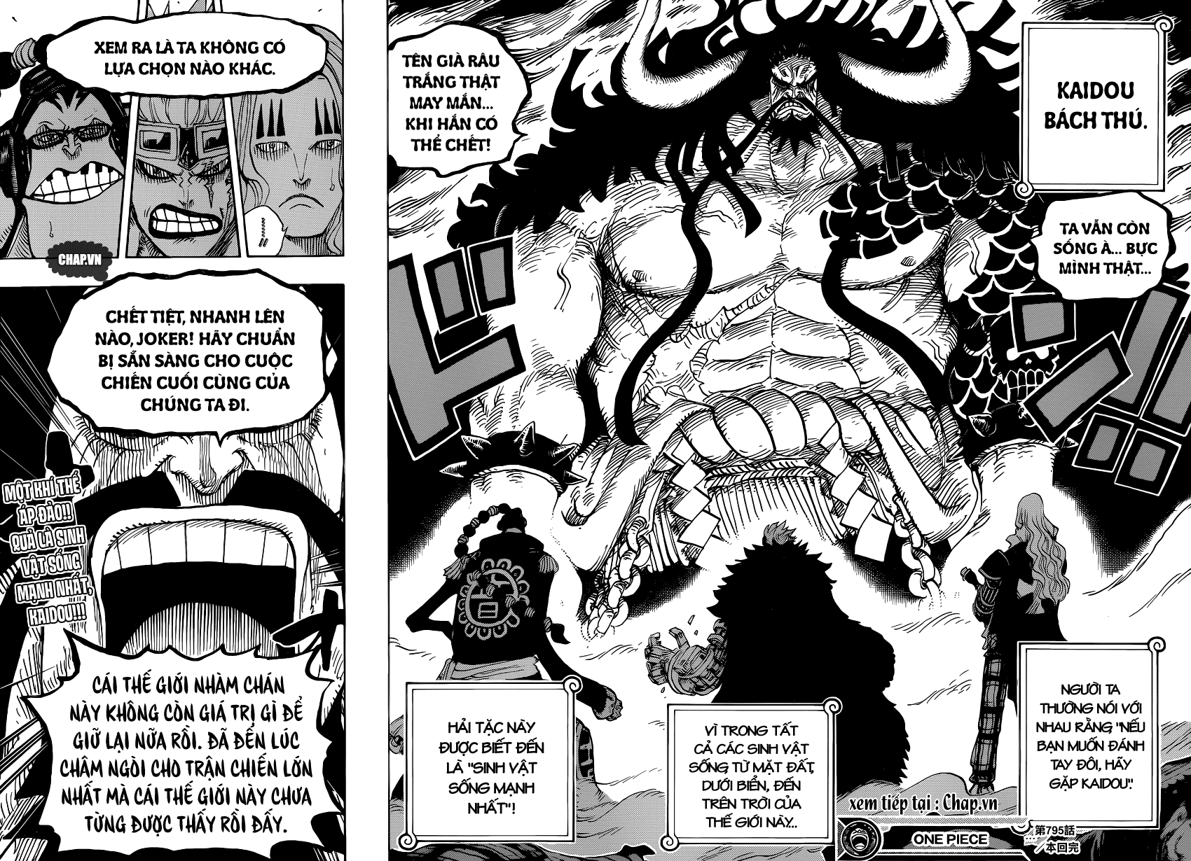 One Piece Chapter 795 - Trang 2