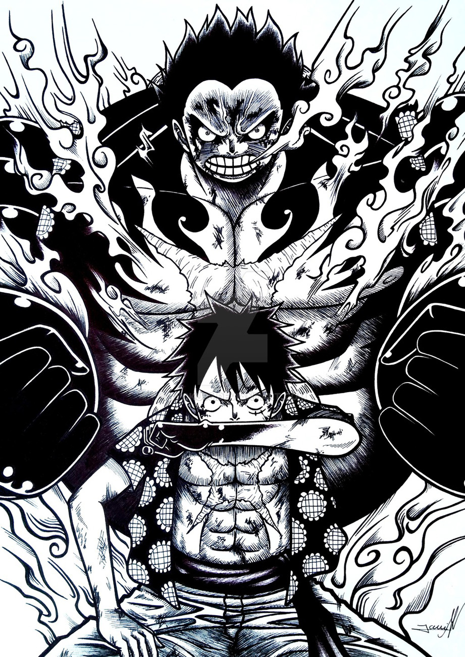 One Piece Chapter 800 - Trang 2