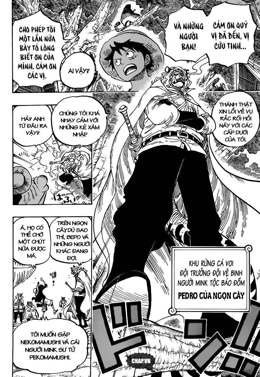 One Piece Chapter 814 - Trang 2