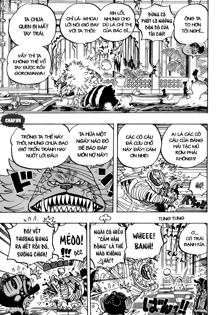 One Piece Chapter 814 - Trang 2