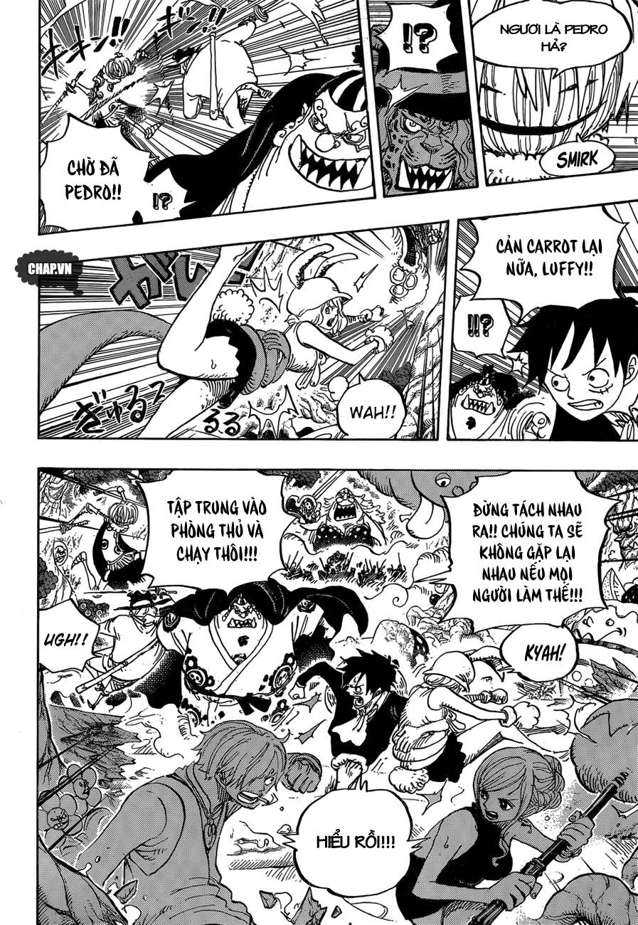 One Piece Chapter 875 - Trang 2