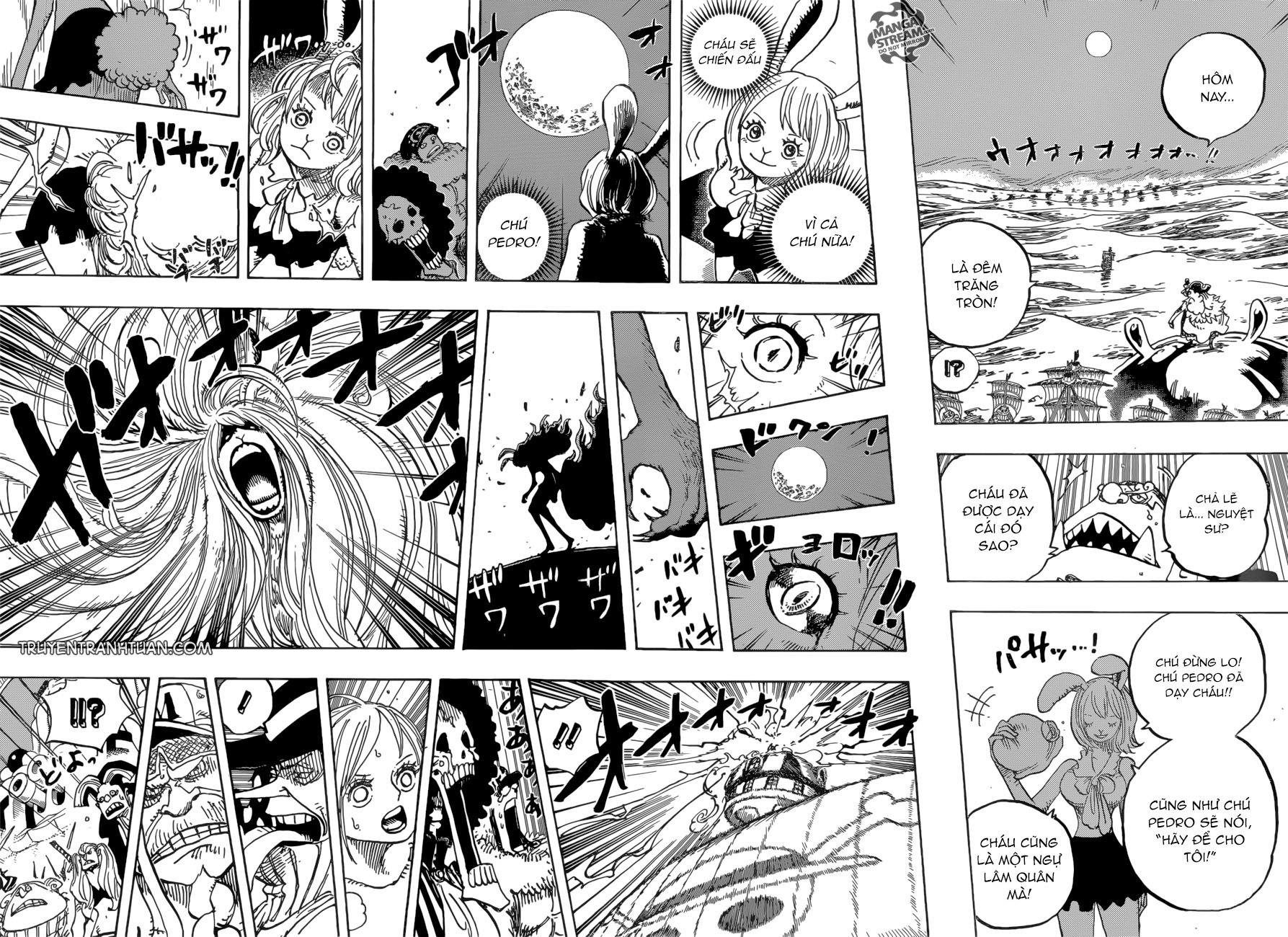 One Piece Chapter 888 - Trang 2