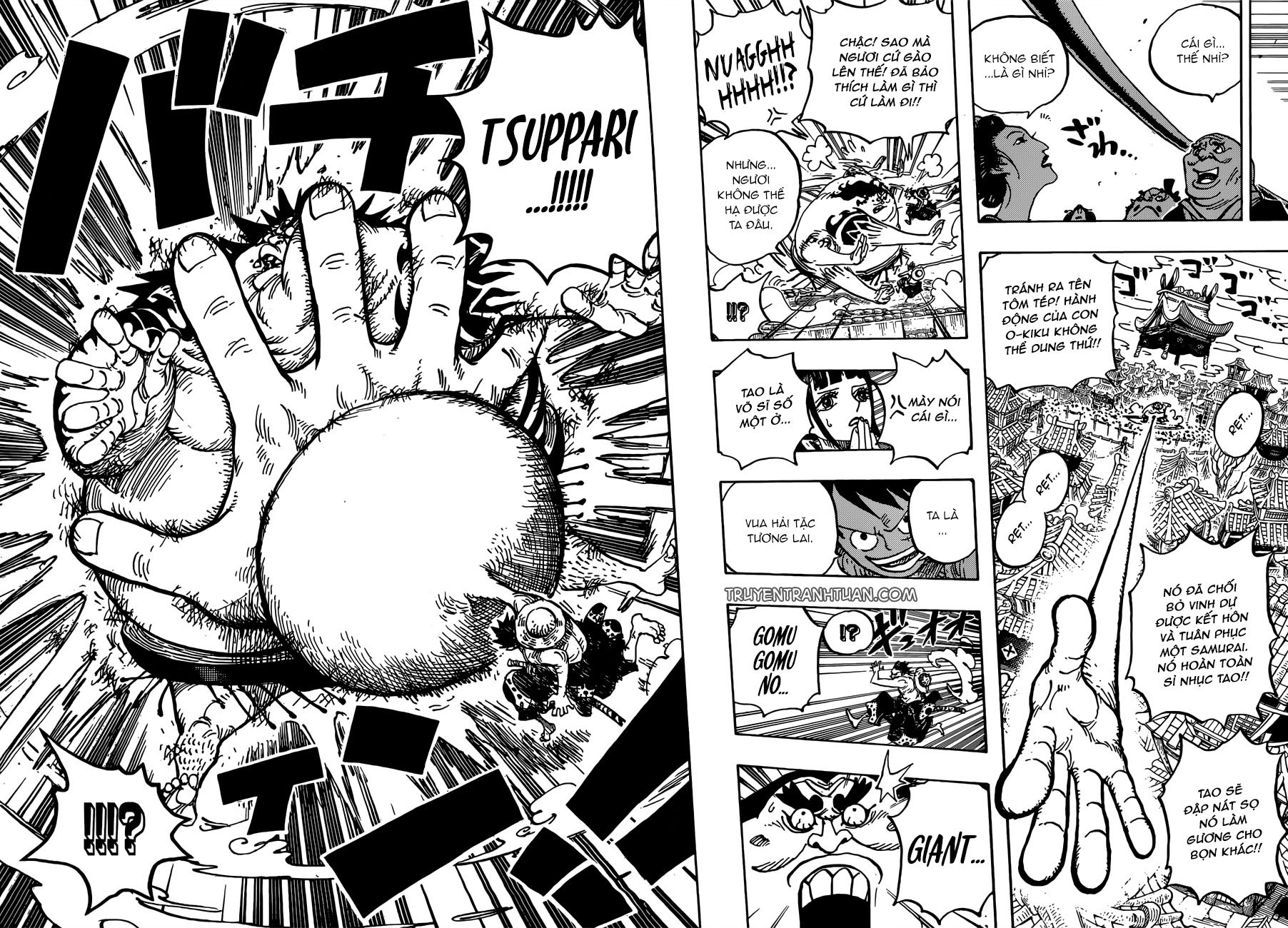 One Piece Chapter 916 - Trang 2