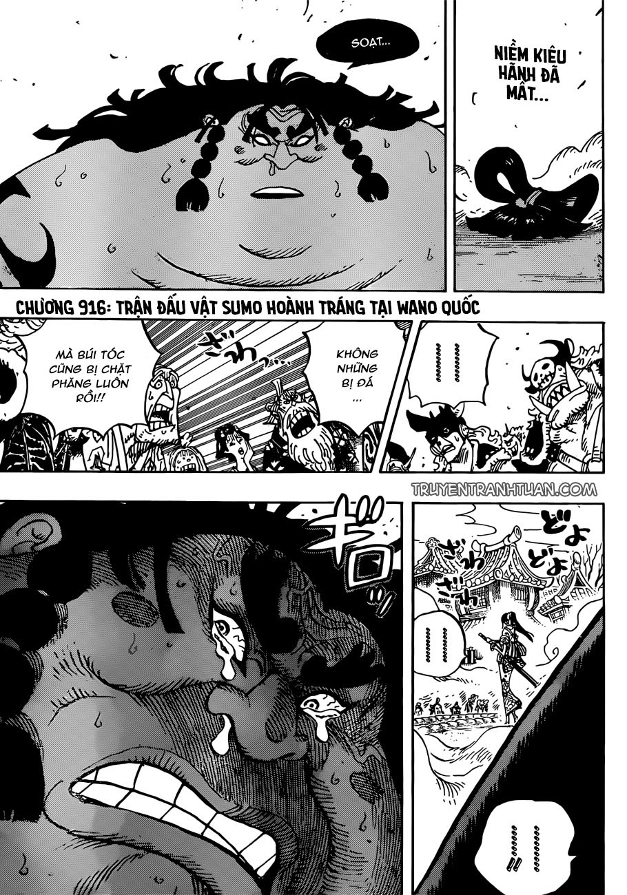 One Piece Chapter 916 - Trang 2