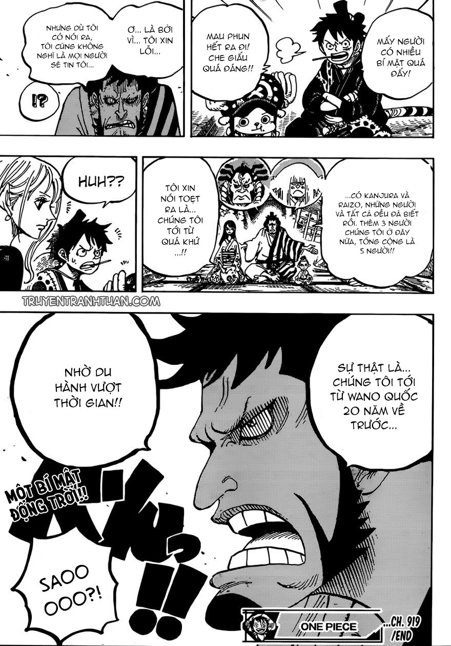 One Piece Chapter 919 - Trang 2