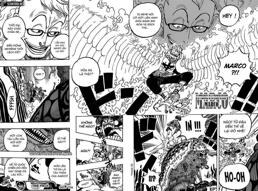 One Piece Chapter 981 - Trang 2