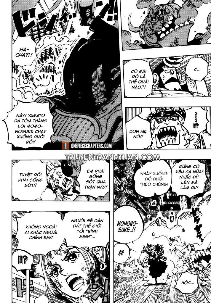 One Piece Chapter 996 - Trang 2