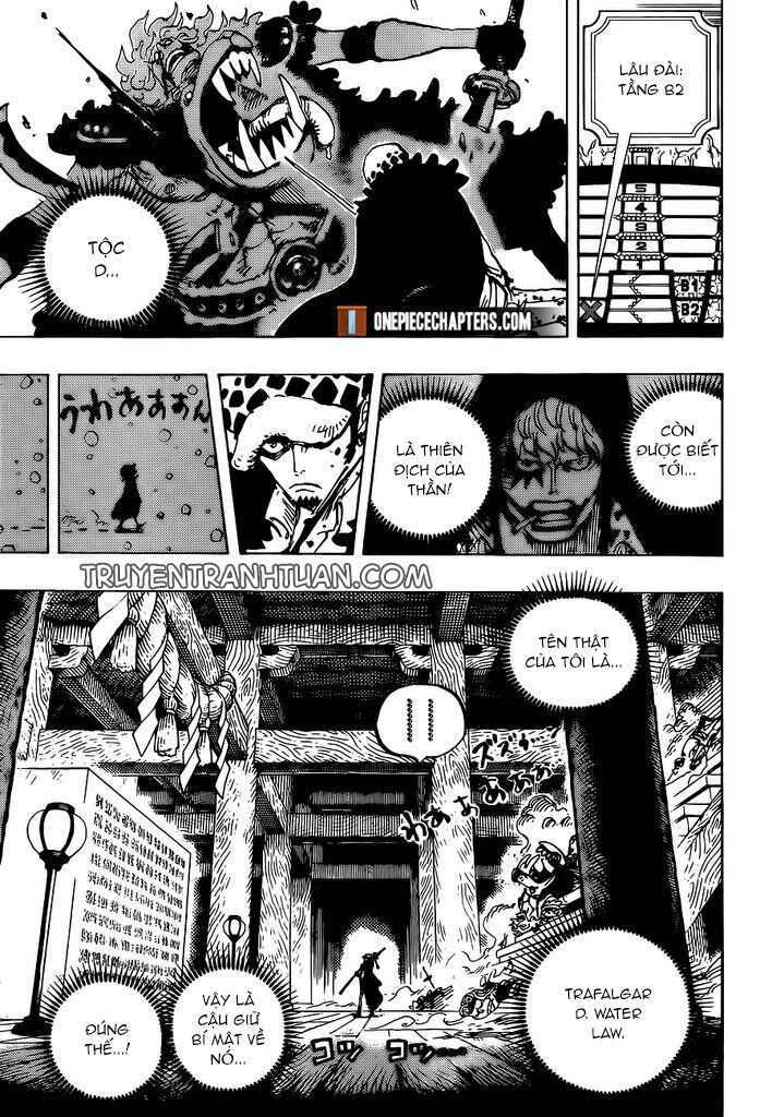 One Piece Chapter 996 - Trang 2