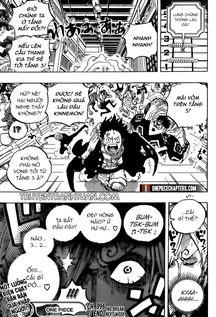One Piece Chapter 996 - Trang 2