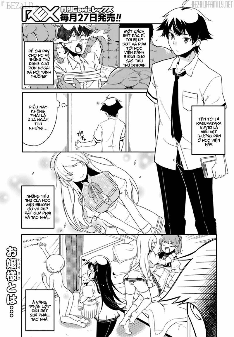 Ore Ga Ojou-Sama Gakkou Ni “Shomin Sample” Toshite Rachirareta Ken Chapter 43.5 - Trang 2