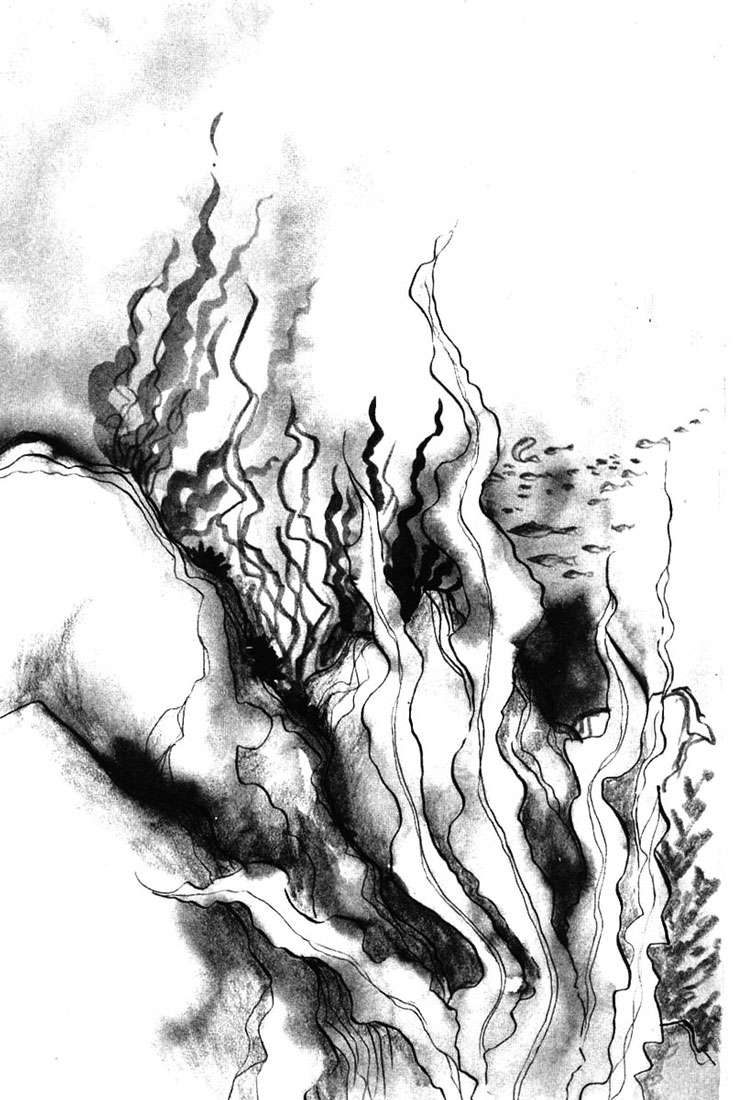 Ouke No Monshou Remake Chapter 18 - Trang 2