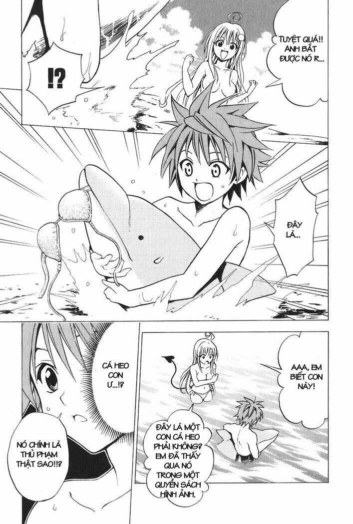 Palawari’S Choice Chapter 17 - Trang 2