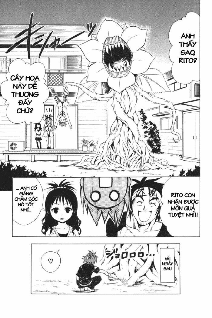 Palawari’S Choice Chapter 27 - Trang 2