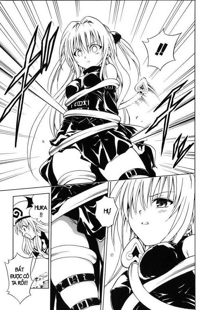 Palawari’S Choice Chapter 37 - Trang 2