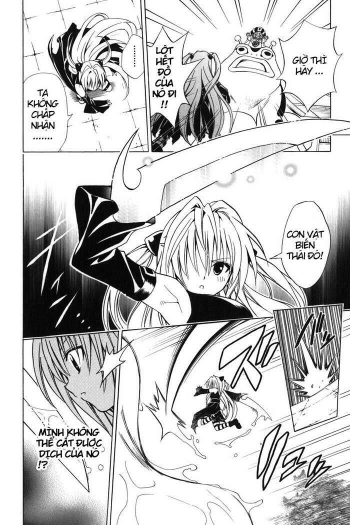 Palawari’S Choice Chapter 38 - Trang 2