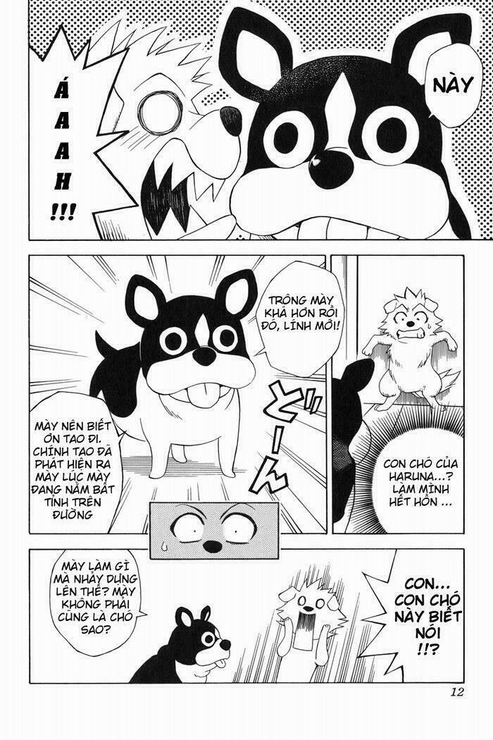 Palawari’S Choice Chapter 44 - Trang 2