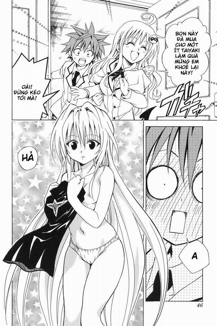 Palawari’S Choice Chapter 45 - Trang 2