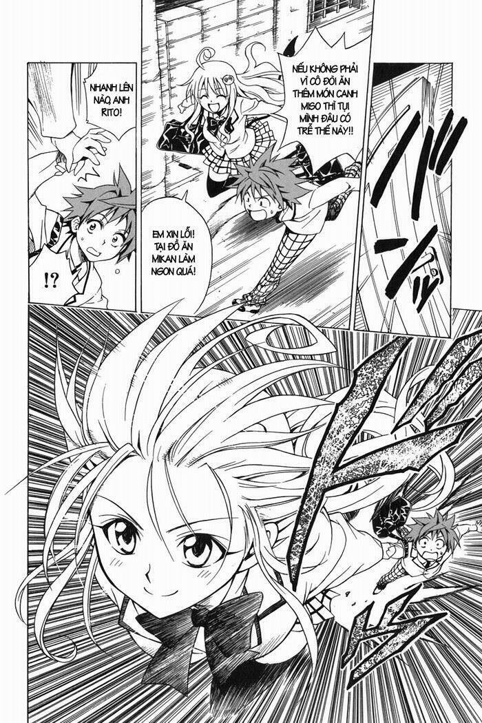 Palawari’S Choice Chapter 49 - Trang 2