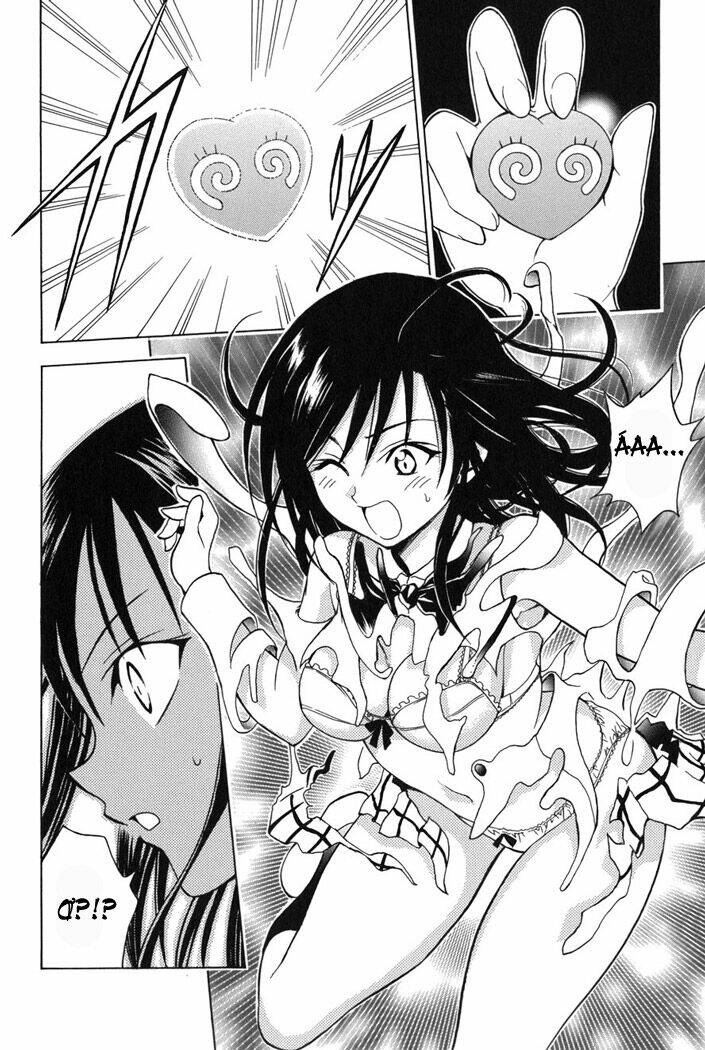 Palawari’S Choice Chapter 51 - Trang 2