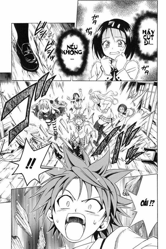 Palawari’S Choice Chapter 55 - Trang 2