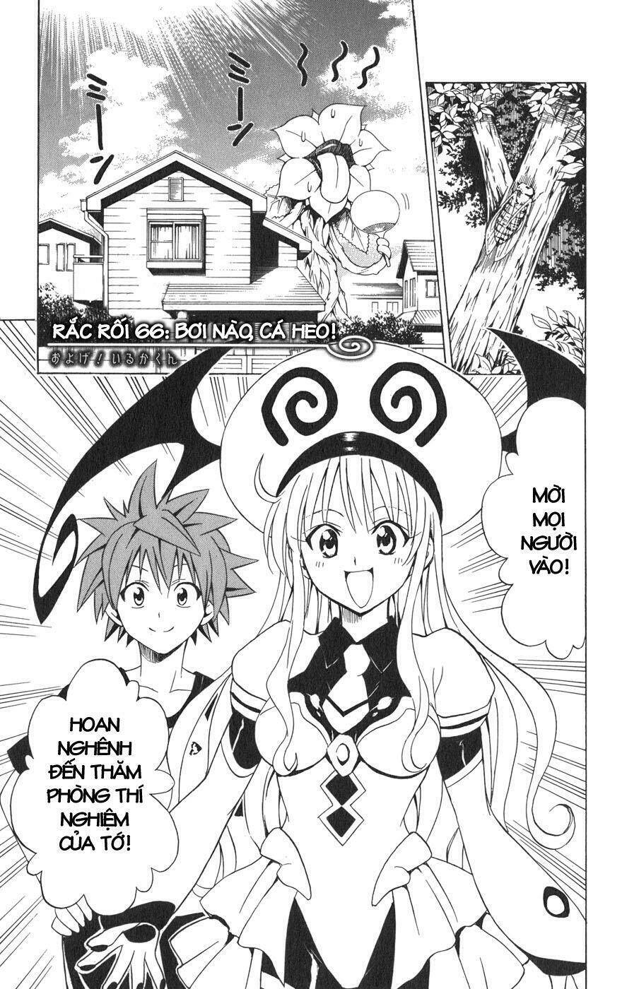 Palawari’S Choice Chapter 66 - Trang 2