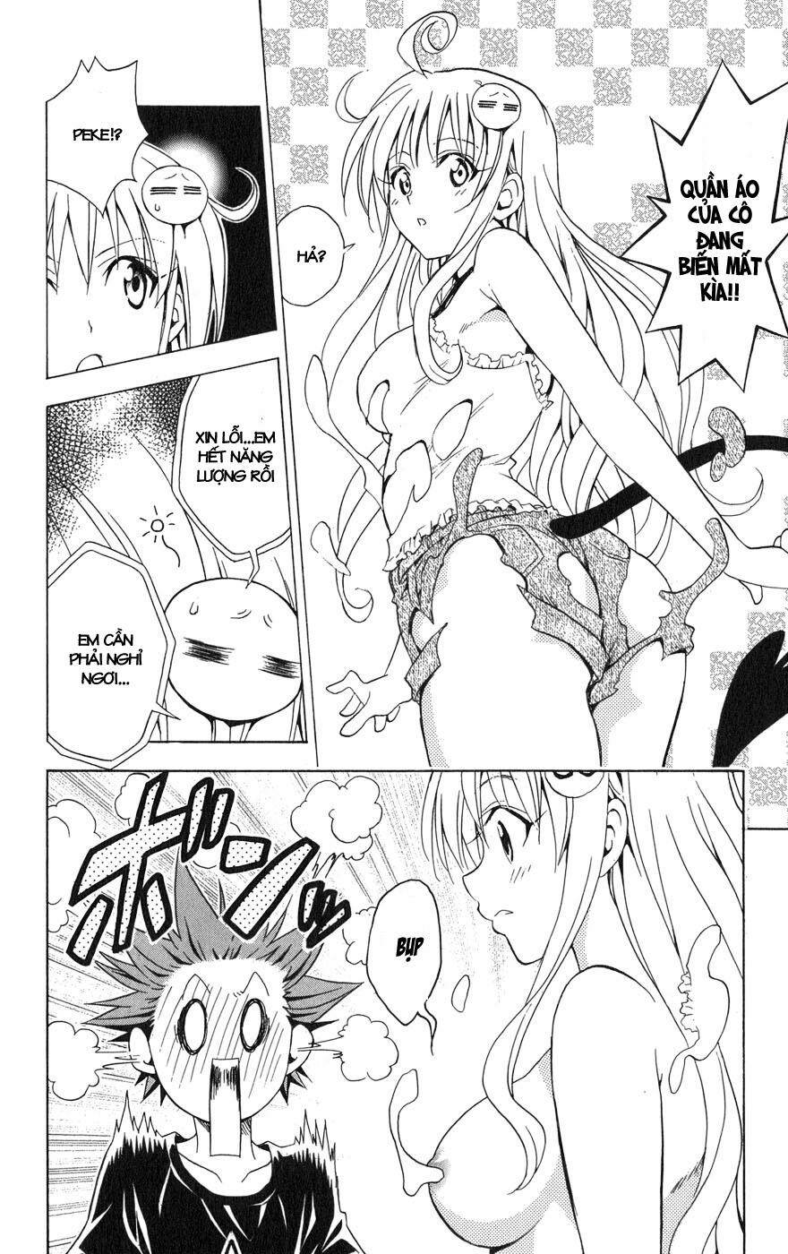 Palawari’S Choice Chapter 70 - Trang 2