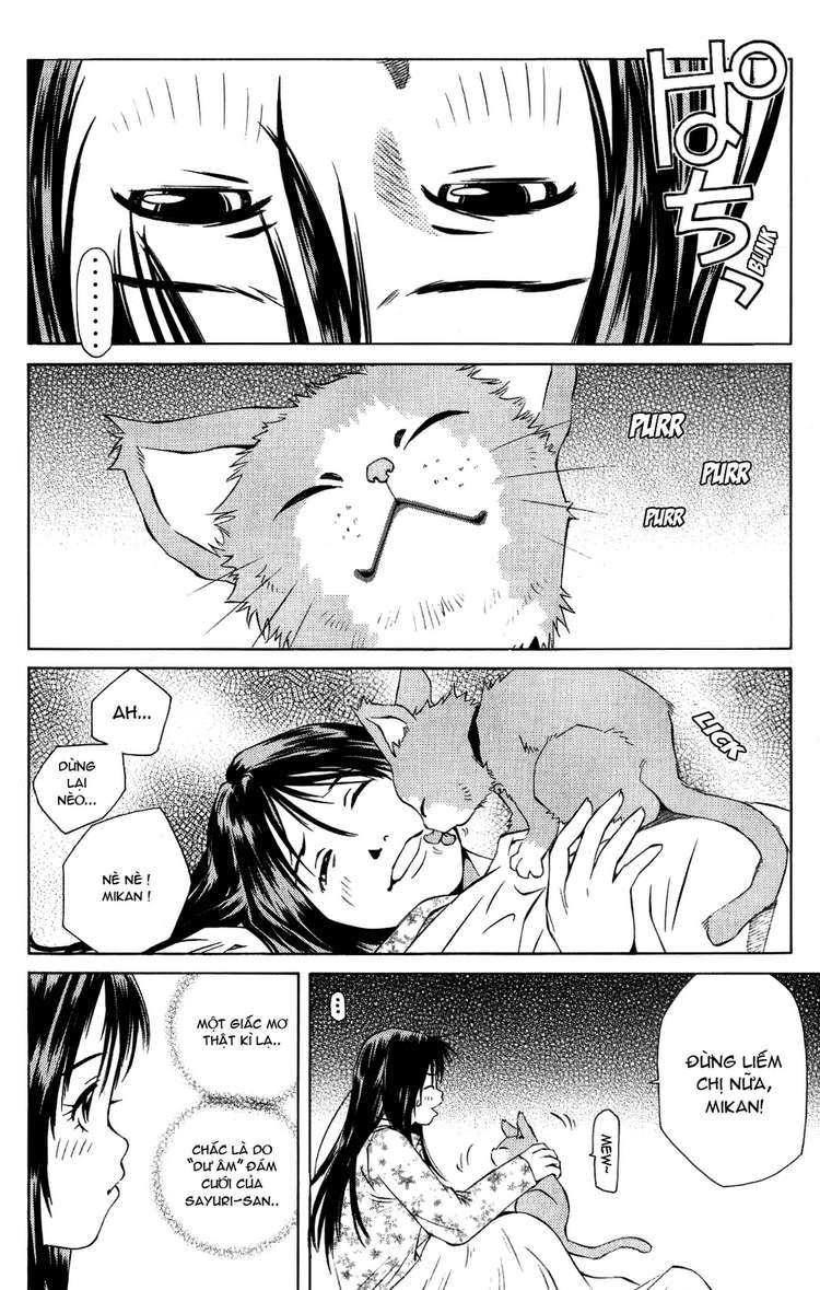 Pastel Chapter 95 - Trang 2