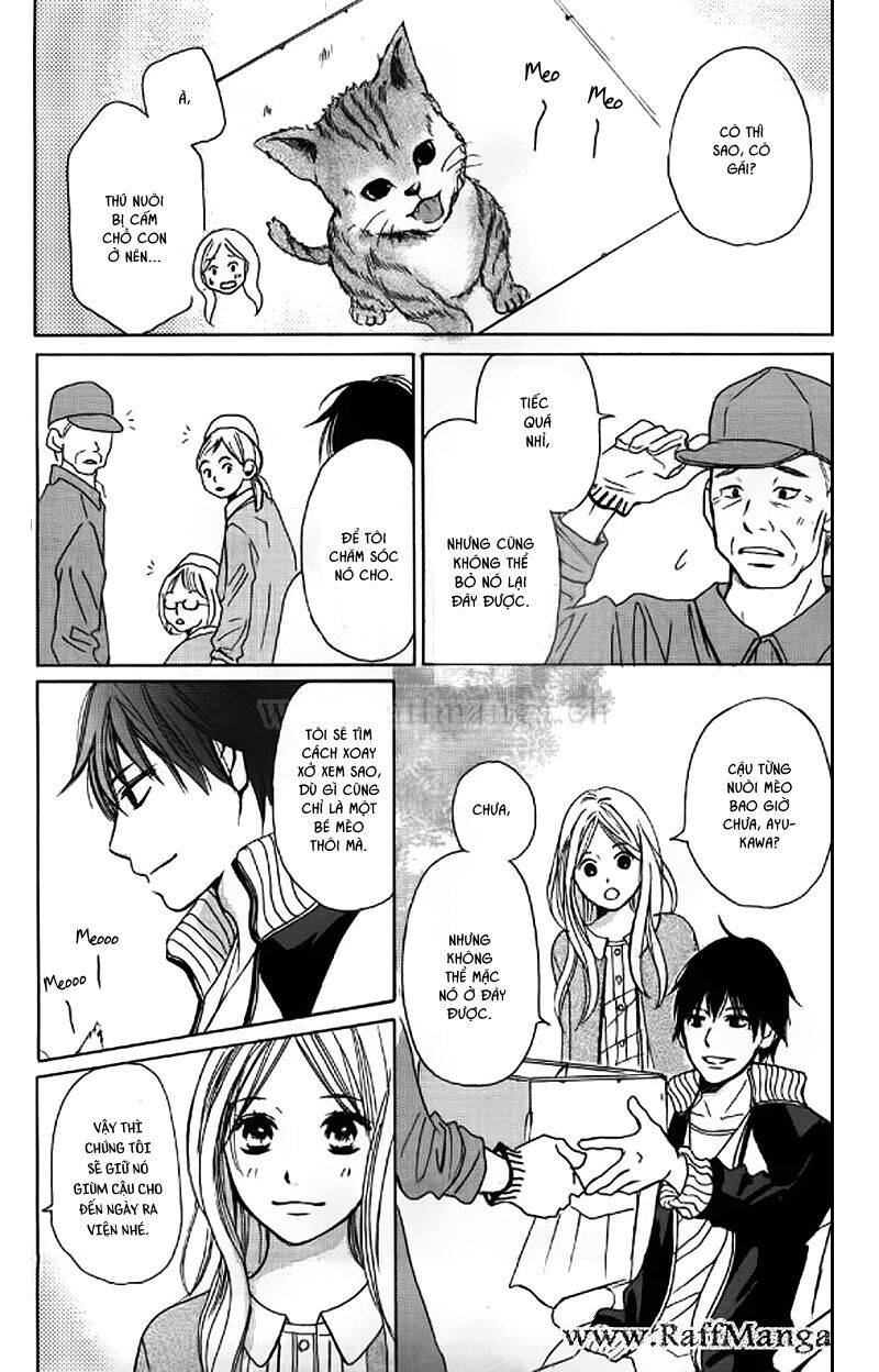 Perfect World (Aruga Rie) Chapter 4 - Trang 2